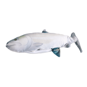 Sardinha Interativa